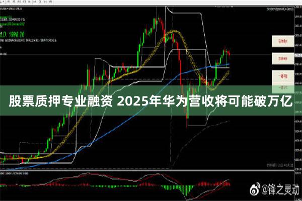 股票质押专业融资 2025年华为营收将可能破万亿