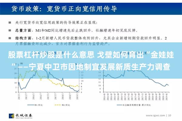 股票杠杆炒股是什么意思 戈壁如何育出“金娃娃”——宁夏中卫市因地制宜发展新质生产力调查