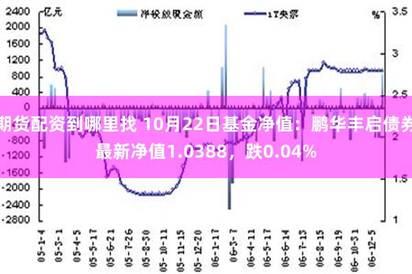 期货配资到哪里找 10月22日基金净值：鹏华丰启债券最新净值1.0388，跌0.04%