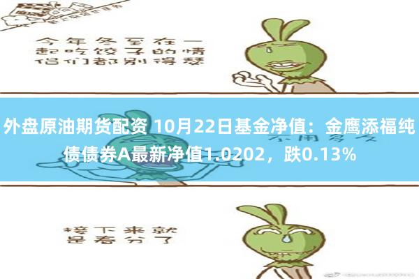 外盘原油期货配资 10月22日基金净值：金鹰添福纯债债券A最新净值1.0202，跌0.13%