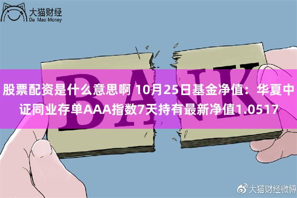 股票配资是什么意思啊 10月25日基金净值：华夏中证同业存单AAA指数7天持有最新净值1.0517