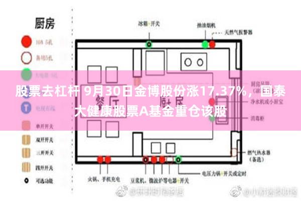 股票去杠杆 9月30日金博股份涨17.37%，国泰大健康股票A基金重仓该股