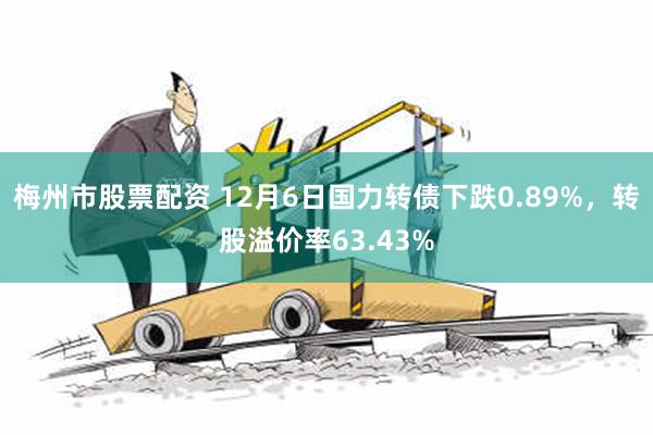 梅州市股票配资 12月6日国力转债下跌0.89%，转股溢价率63.43%