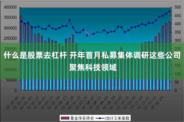 什么是股票去杠杆 开年首月私募集体调研这些公司 聚焦科技领域